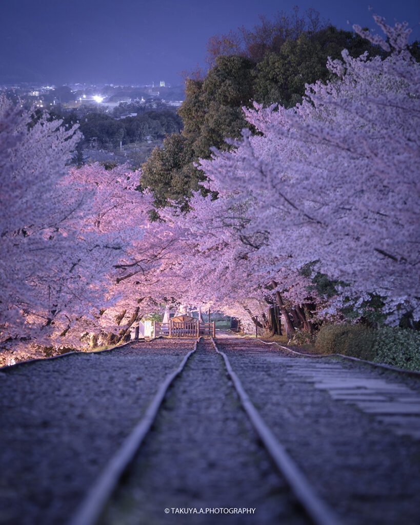 京都府の絶景 蹴上インクラインの桜
