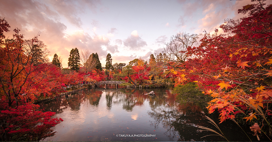 京都府の絶景 永観堂の紅葉