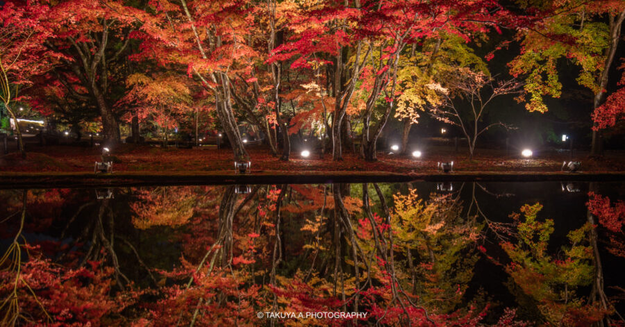 岐阜県の絶景 曽木公園の紅葉ライトアップ
