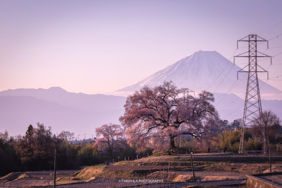 絶景撮影記 山梨県 わに塚の桜 | 一眼絶景 ICHIGAN ZEKKEI