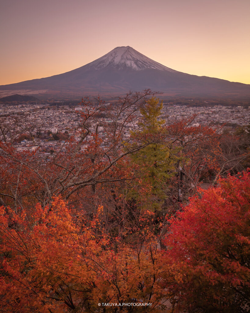 山梨県の絶景 新倉山浅間公園 富士山と紅葉と夕日