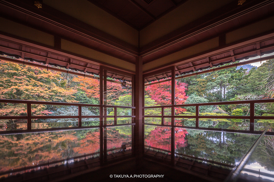 滋賀県の絶景 旧竹林院の紅葉