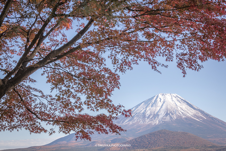 山梨県の絶景 精進湖の富士山と紅葉