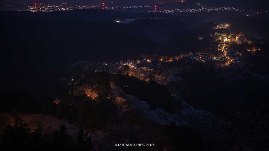 奈良県の絶景 吉野山花矢倉展望台の桜