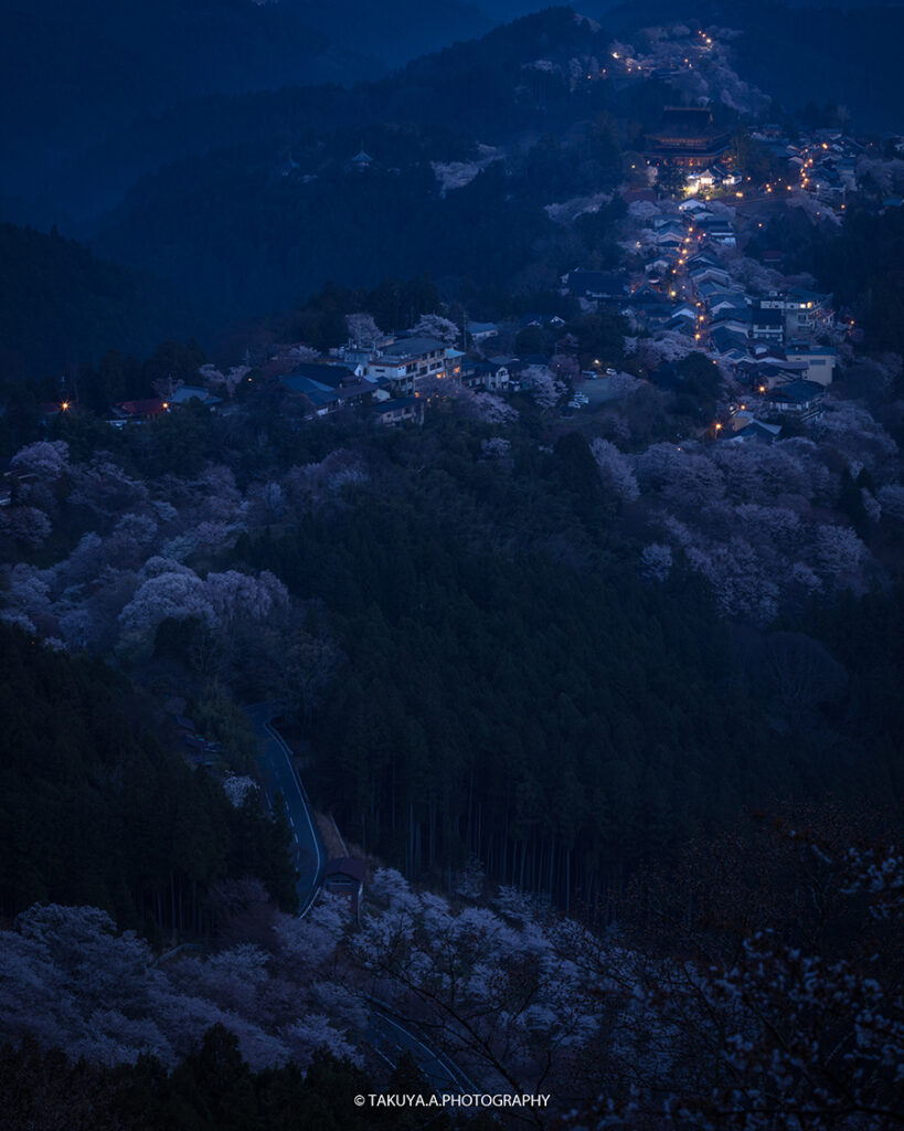 奈良県の絶景 吉野山花矢倉展望台の桜