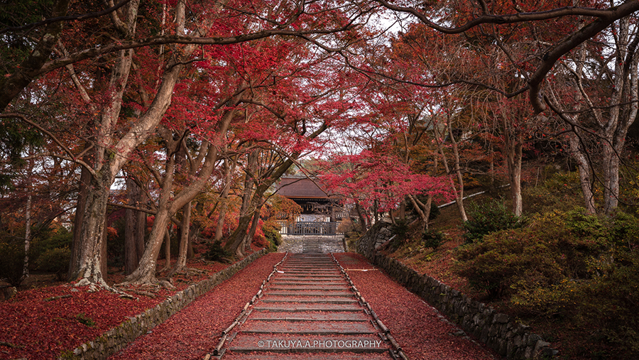 京都府の絶景 毘沙門堂門跡の散紅葉