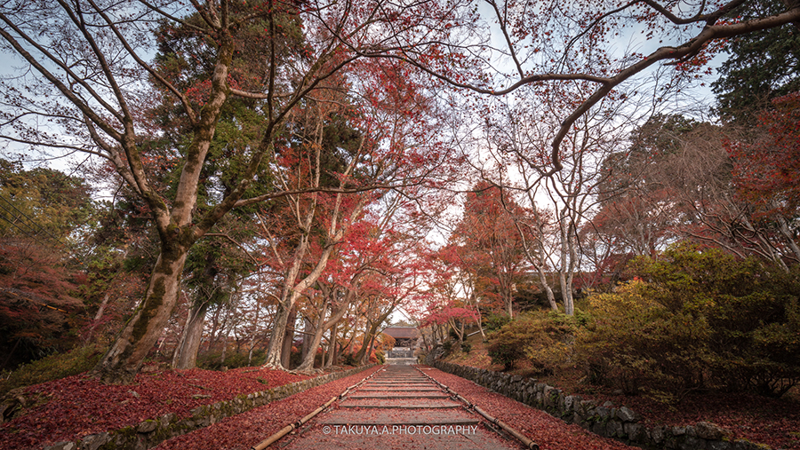 京都府の絶景 毘沙門堂門跡の散紅葉