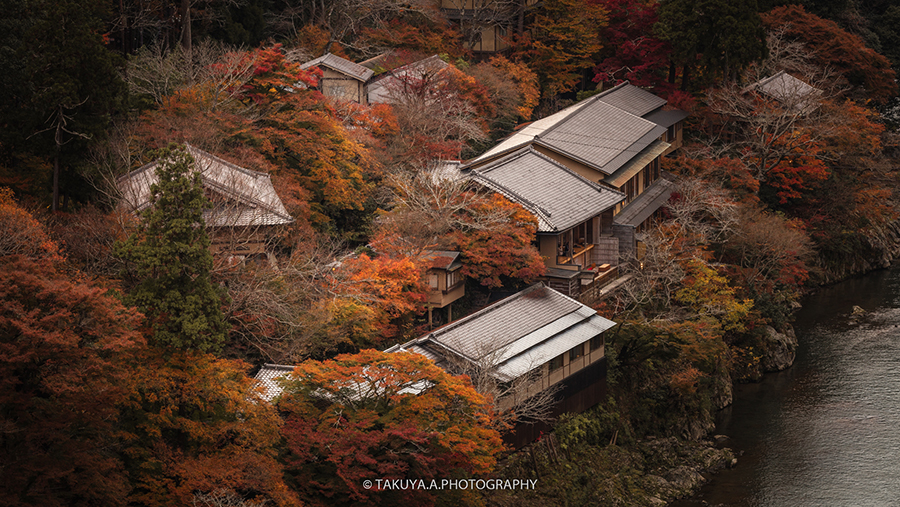 京都府の絶景 嵐山公園亀山地区展望台の紅葉