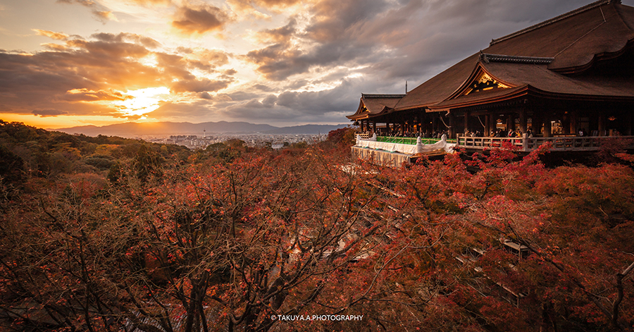 京都府の絶景 清水寺の紅葉