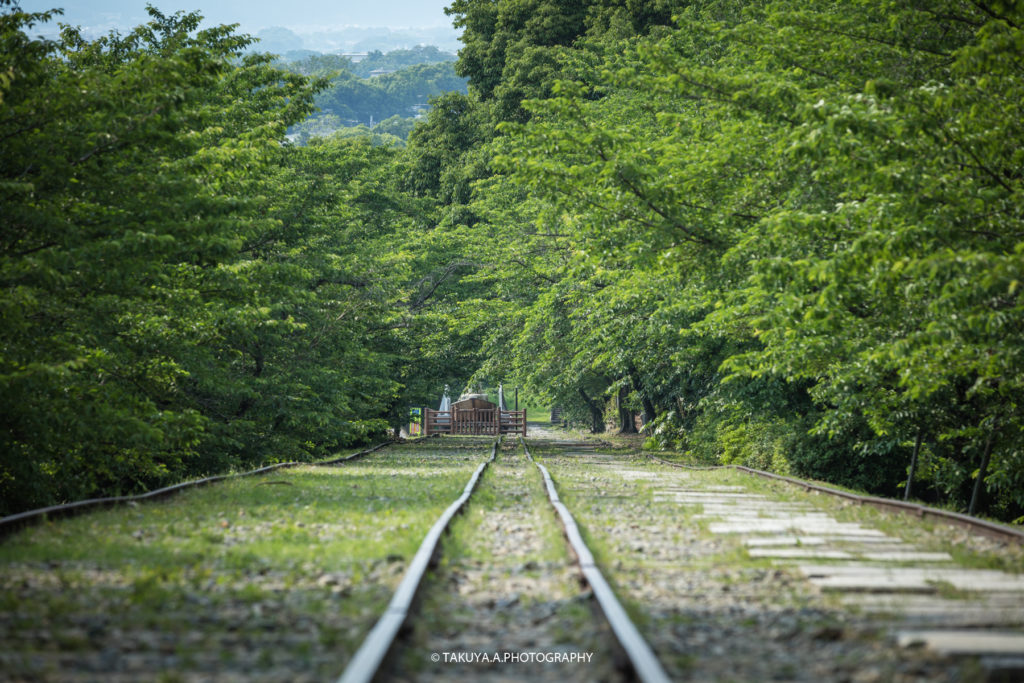 京都府の絶景 蹴上インクラインの新緑