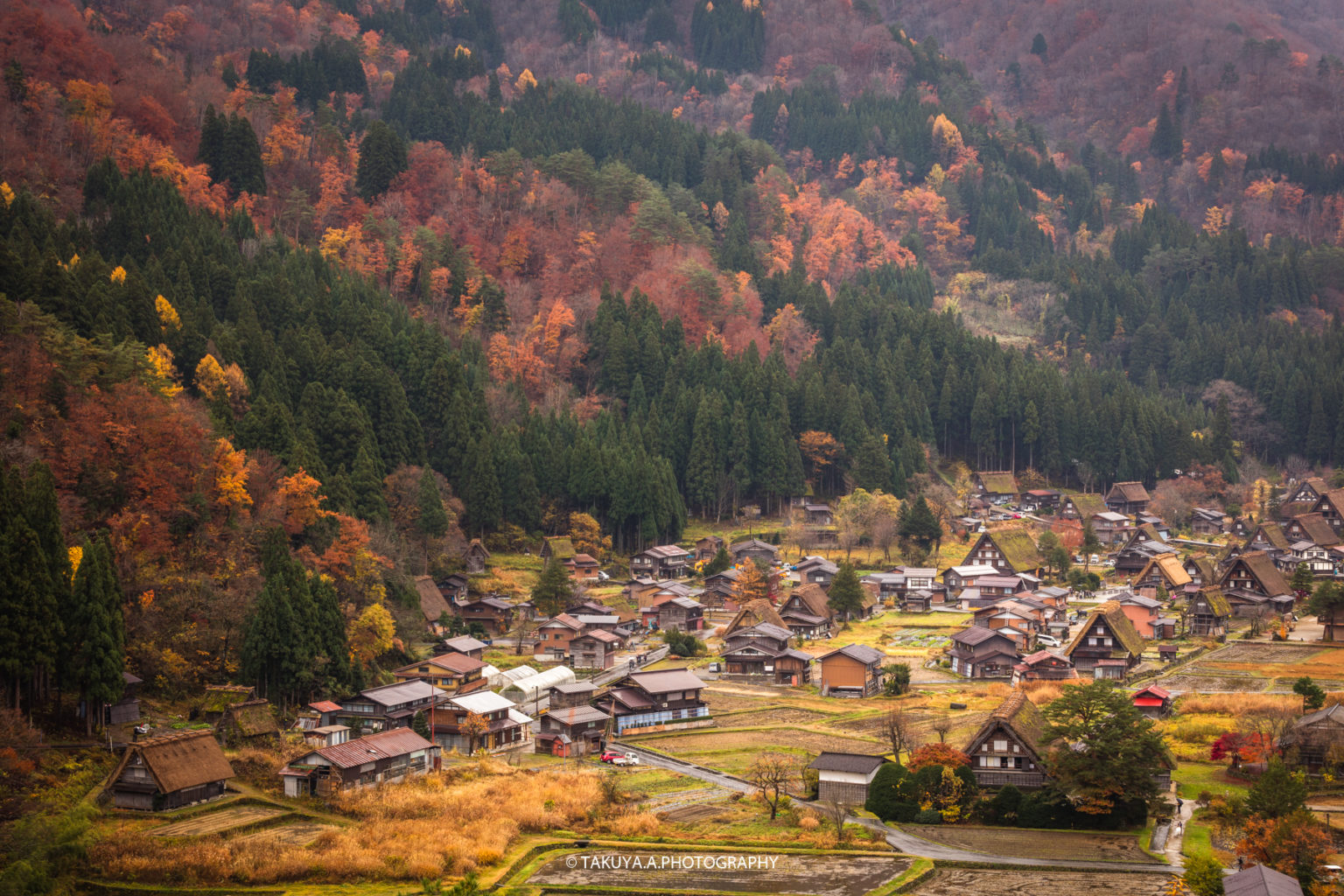 【岐阜県の絶景】白川郷の紅葉を一眼で撮影－黄金色に染まった美しい …