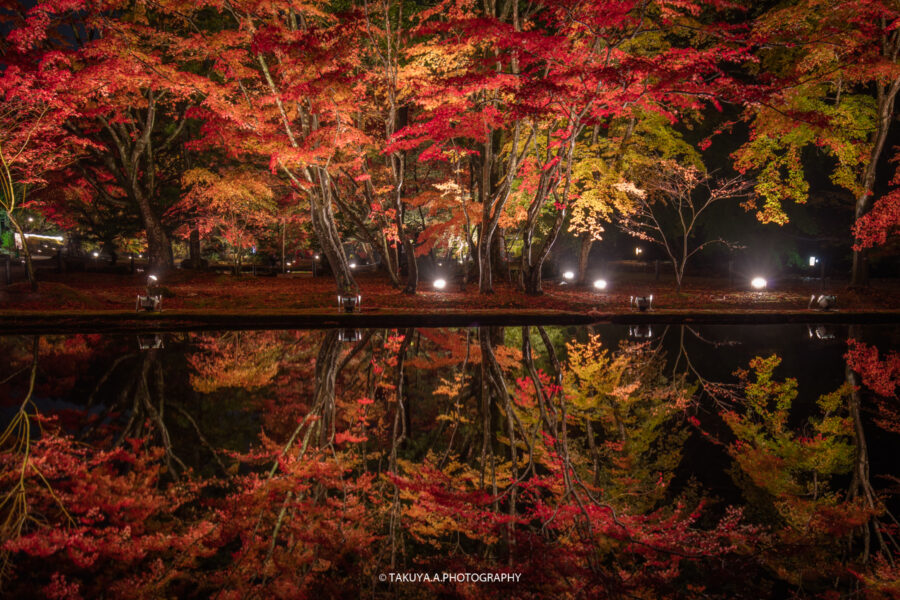 岐阜県の絶景 曽木公園の紅葉ライトアップ 撮影スポット1