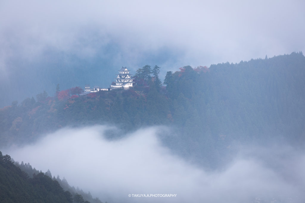 岐阜県の絶景 郡上八幡城の雲海と紅葉を一眼で撮影 雲海に浮かぶ天空の城 一眼絶景 Ichigan Zekkei
