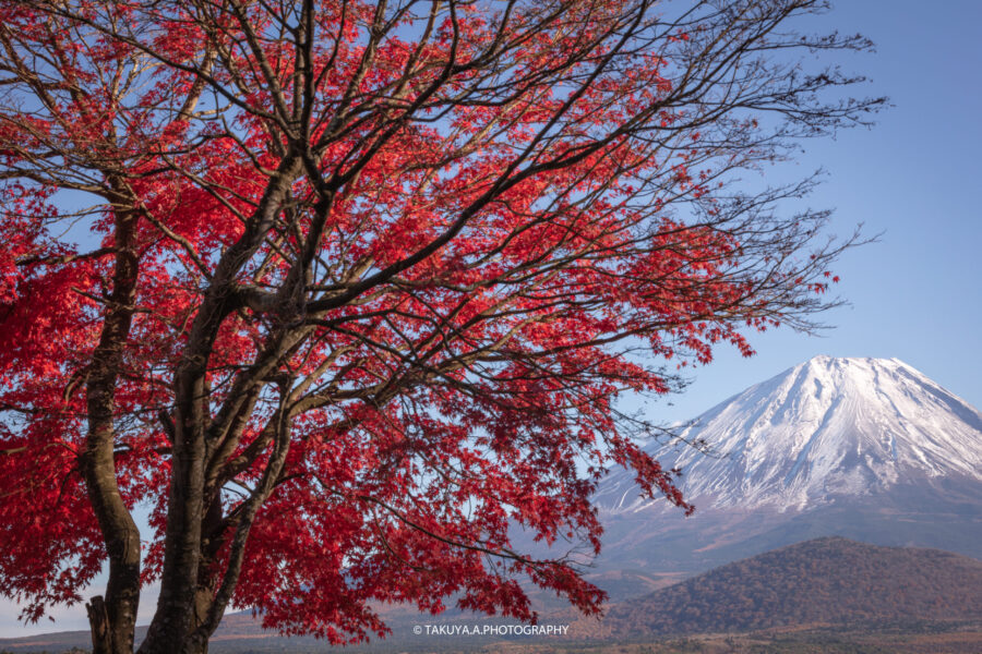 山梨県の絶景 精進湖の富士山と紅葉を一眼で撮影 鮮やかで形の良い紅葉と富士山 一眼絶景 Ichigan Zekkei