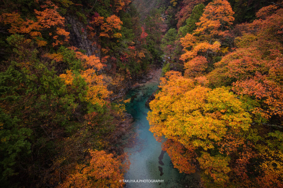 岐阜県の絶景 付知峡 攻橋の紅葉を一眼で撮影 鮮やかな紅葉に包まれる渓谷 一眼絶景 Ichigan Zekkei