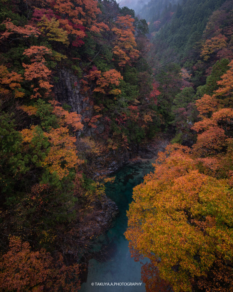 岐阜県の絶景 付知峡 攻橋の紅葉を一眼で撮影 鮮やかな紅葉に包まれる渓谷 一眼絶景 Ichigan Zekkei