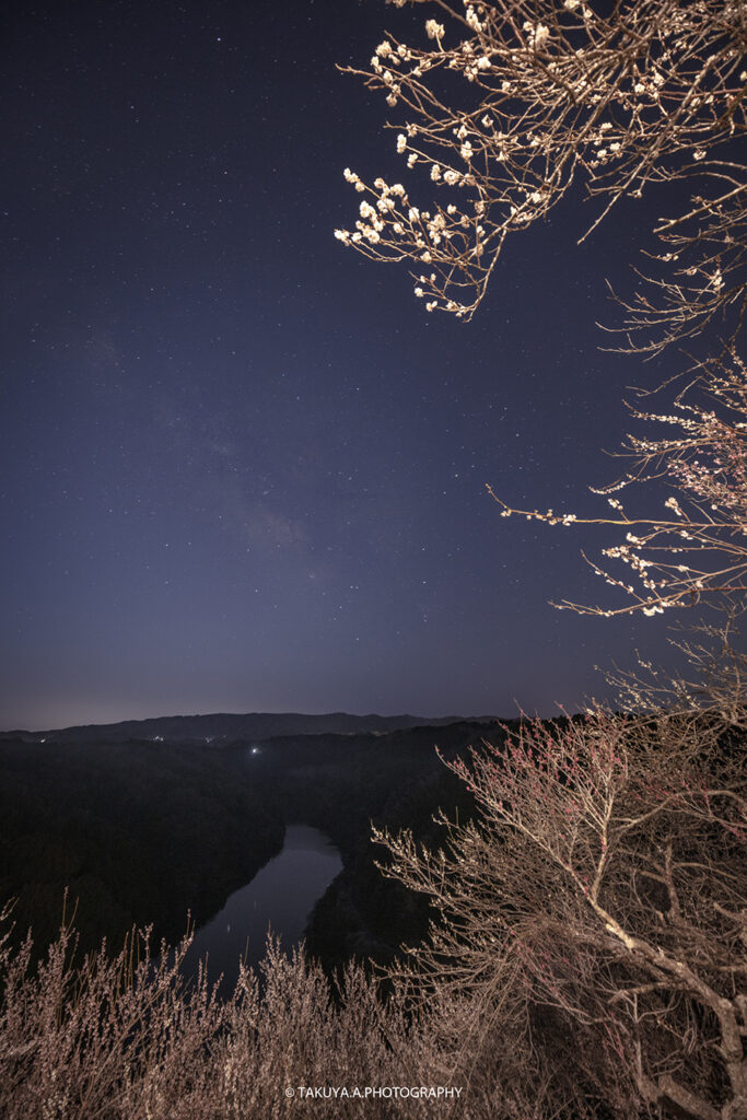 奈良県の絶景 月ヶ瀬梅渓（梅林）の梅