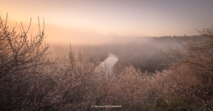 奈良県の絶景 月ヶ瀬梅渓の梅を一眼で撮影 春霞みの美しい梅林絶景 一眼絶景 Ichigan Zekkei