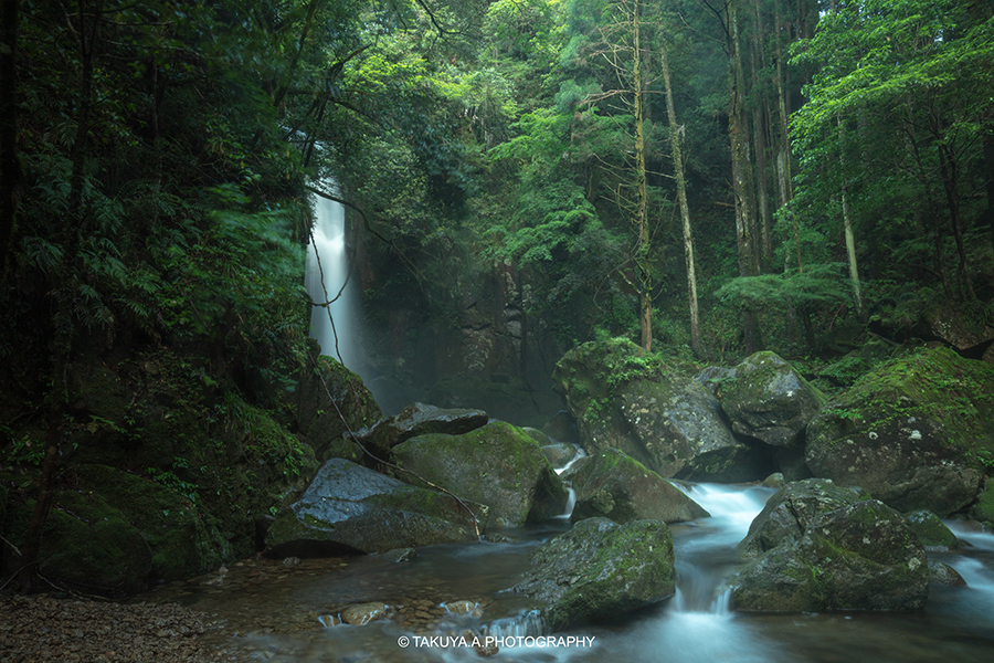 和歌山県の絶景 桑ノ木の滝の新緑