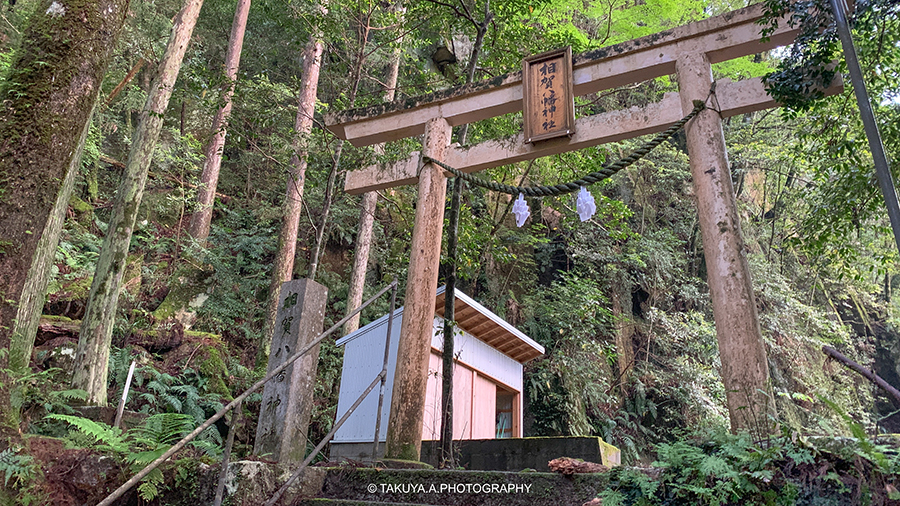 和歌山県の絶景 桑ノ木の滝の新緑 アクセス