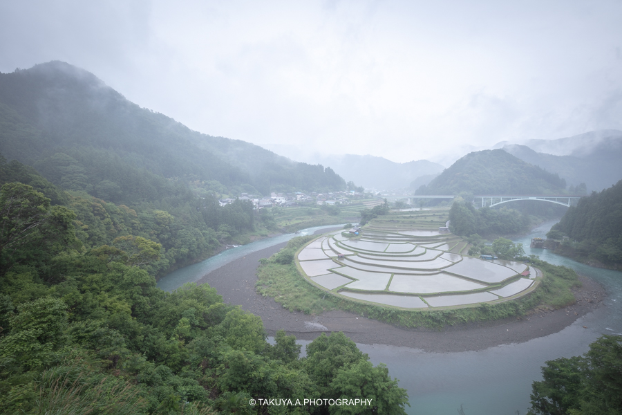 和歌山県の絶景 あらぎ島の新緑