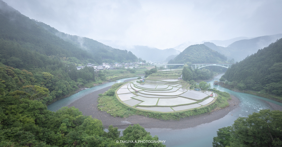 和歌山県の絶景 あらぎ島の新緑