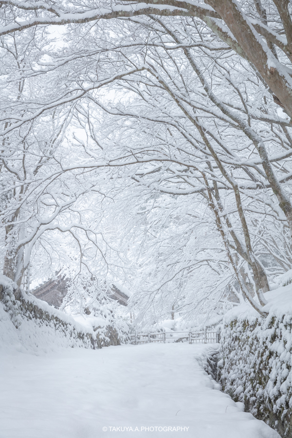 滋賀県の絶景 伊香具神社 雪景色