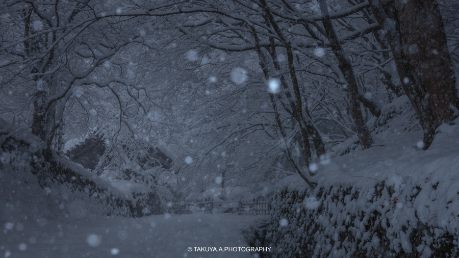滋賀県の絶景 百済寺の雪景色