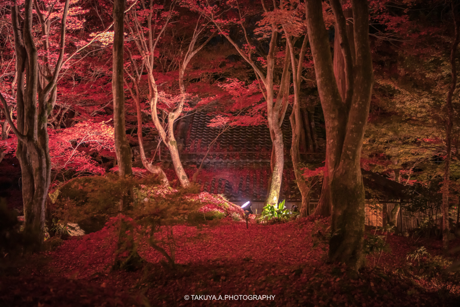 滋賀県の絶景 教林坊の紅葉絶景