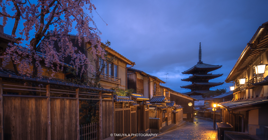 京都府の絶景 法観寺八坂の塔の桜