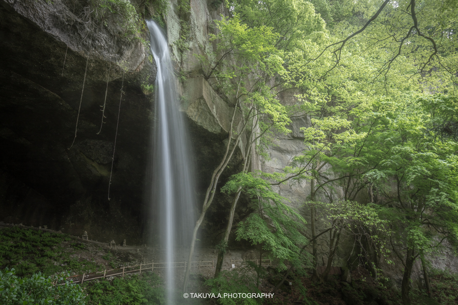 群馬県の絶景  棚下不動滝の新緑