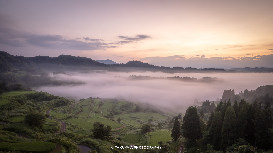 新潟県の絶景 星峠の棚田の雲海と朝日