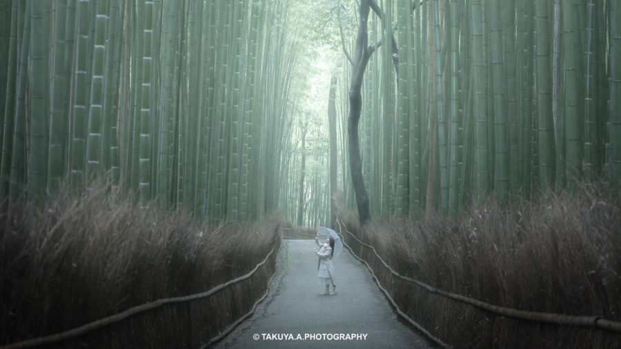 京都府の絶景 竹林の小径 ポートレート