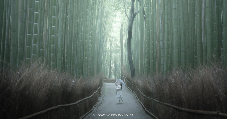 京都府の絶景 竹林の小径 ポートレート