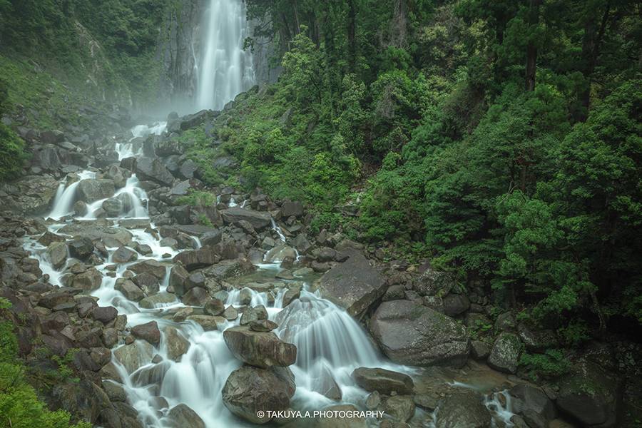 和歌山県の絶景 那智の滝の新緑