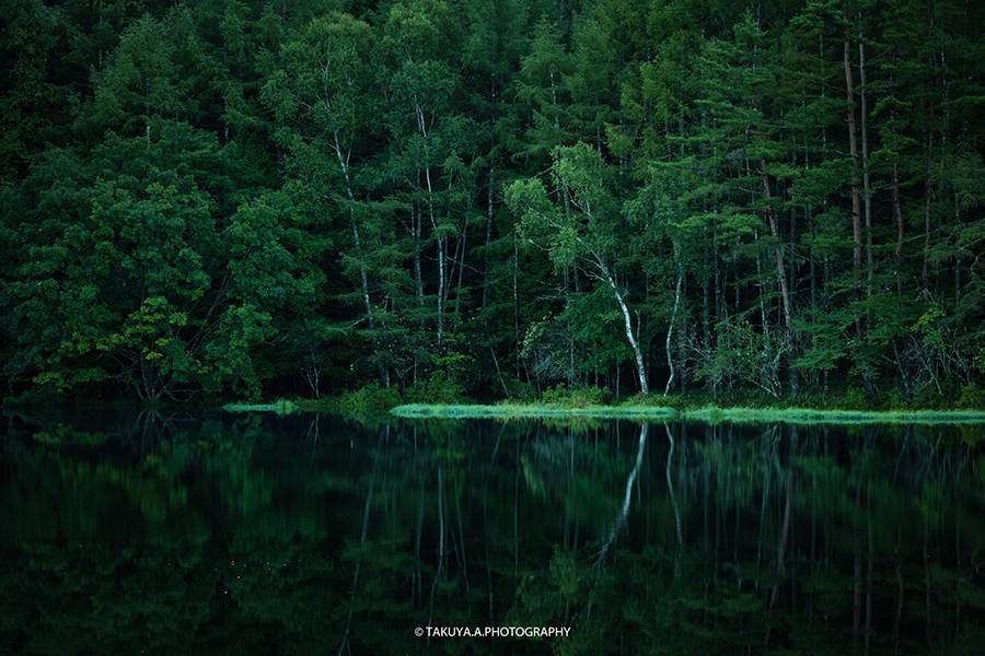 長野県の絶景 御射鹿池の深緑