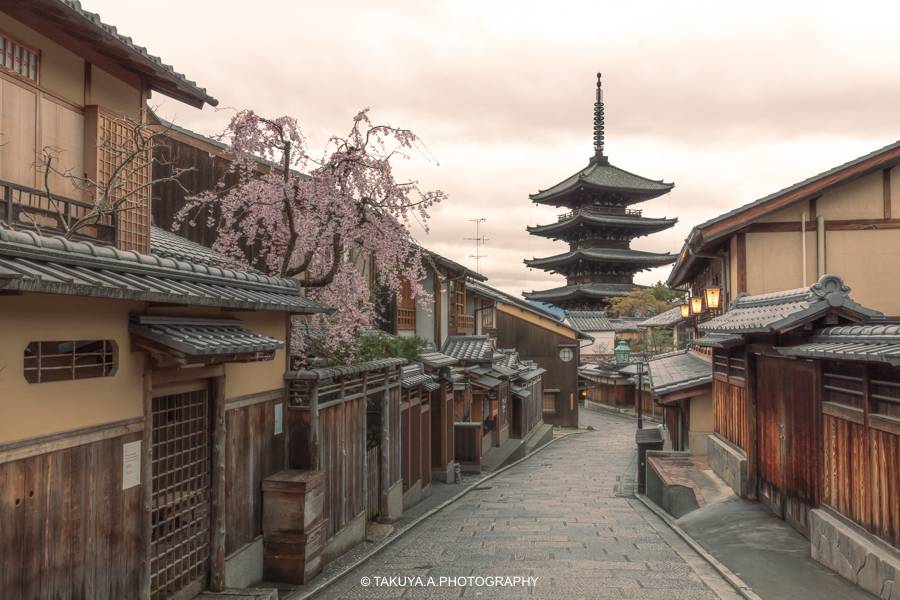 京都府の絶景 法観寺八坂の塔の桜
