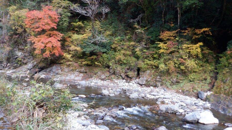 高知県の絶景 べふ峡の紅葉