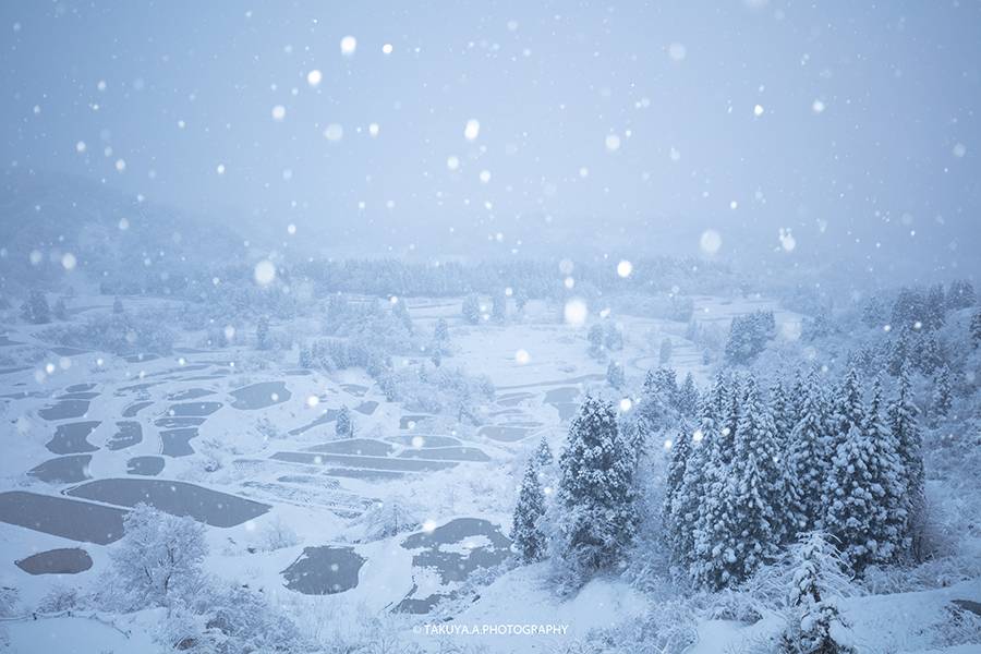 青白くシンシンと降るメルヘンな雪景色を表現 作例1