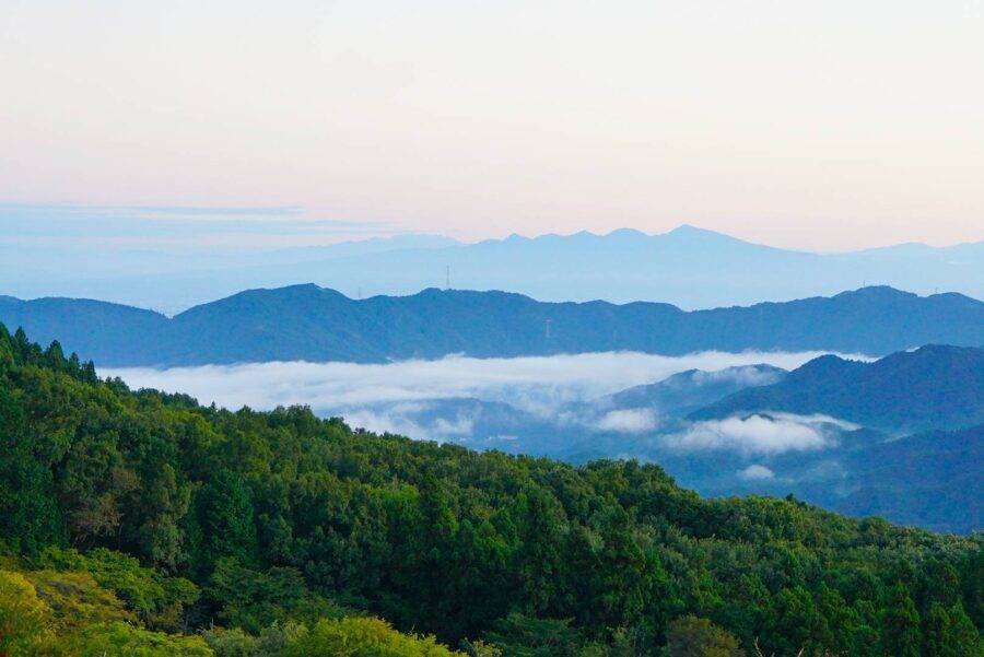 埼玉県の絶景 美の山公園の雲海