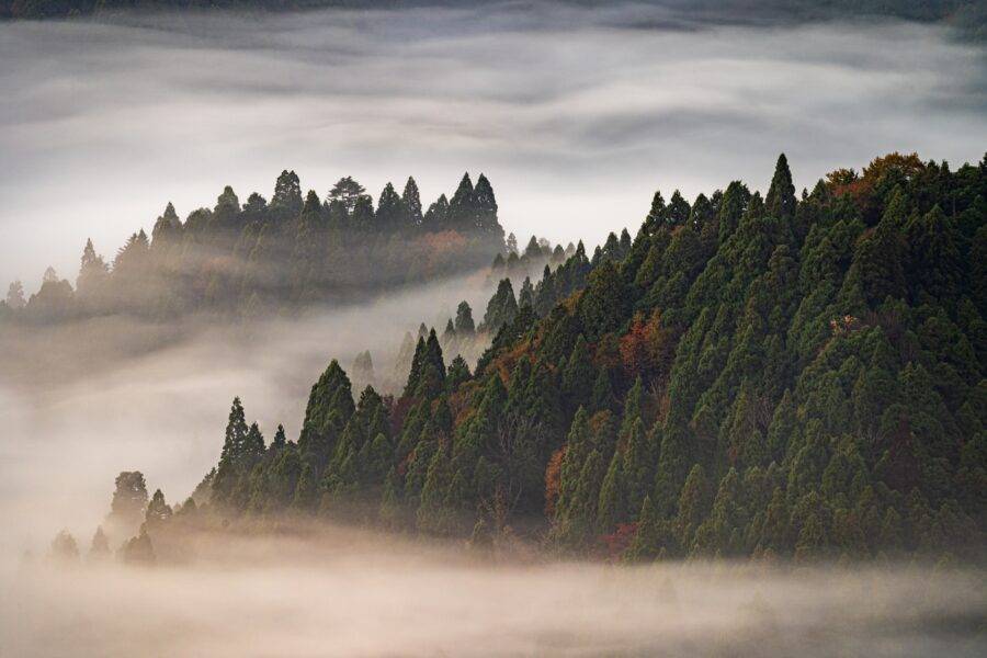 滋賀県の絶景 おにゅう峠の雲海