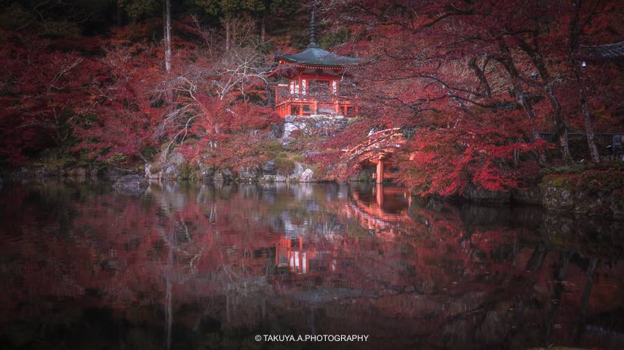 京都府の絶景 醍醐寺の紅葉