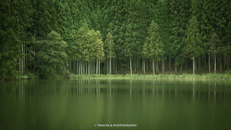 奈良県の絶景 龍王ヶ淵の深緑