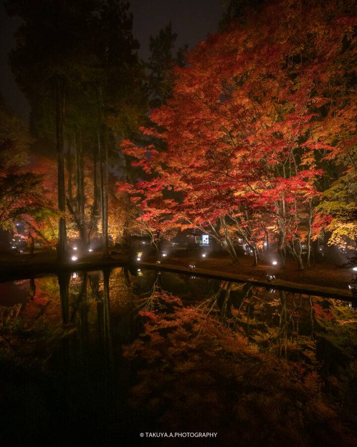 岐阜県の絶景 曽木公園の紅葉ライトアップ 撮影スポット3