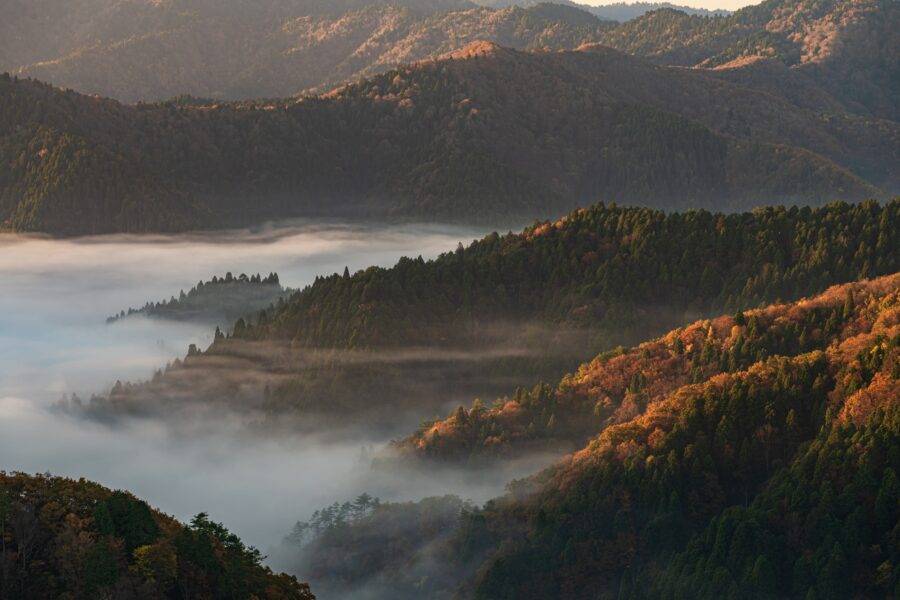 滋賀県の絶景 おにゅう峠の雲海