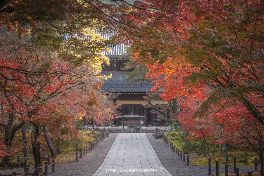 京都府の絶景 南禅寺の紅葉