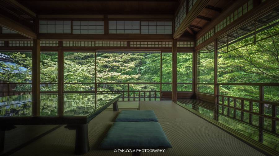 京都府の絶景 瑠璃光院の新緑