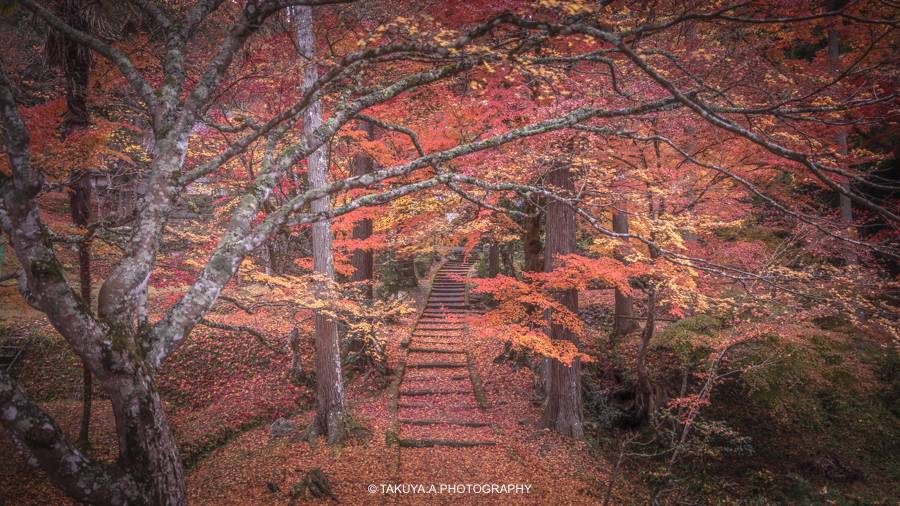 京都府の絶景 龍隠寺の紅葉