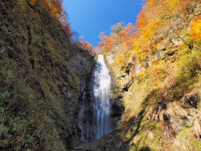 青森県の絶景 くろくまの滝