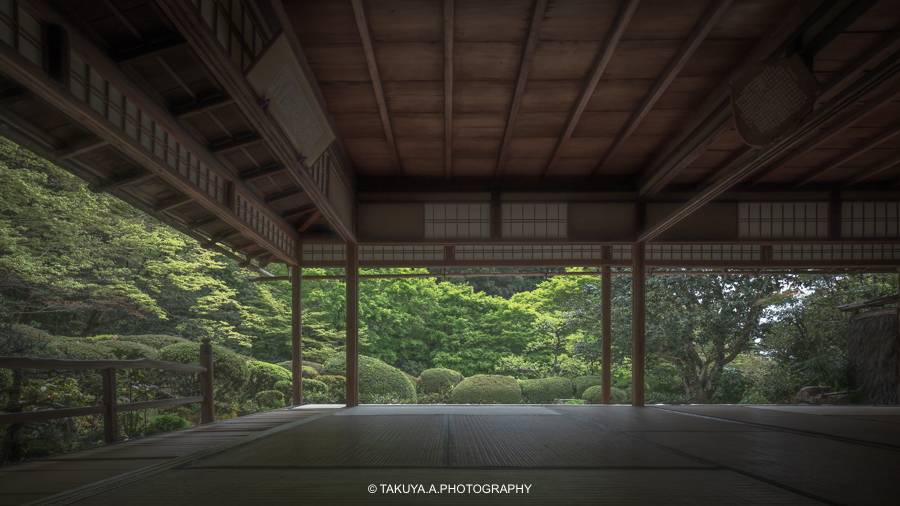 京都府の絶景 詩仙堂の新緑